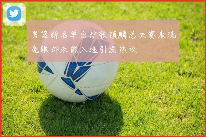 男篮新名单出炉张镇麟总决赛表现亮眼却未能入选引发热议